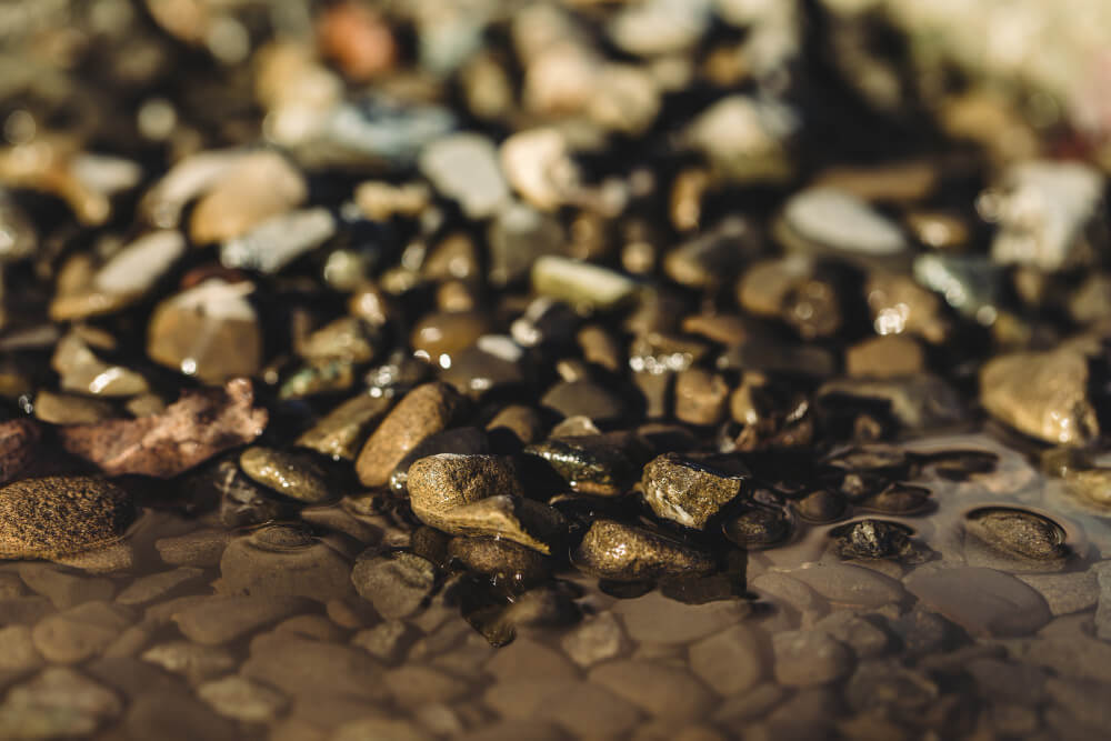 Copper Scrap Auction: Maximize Your Profits with Trusted Trading
